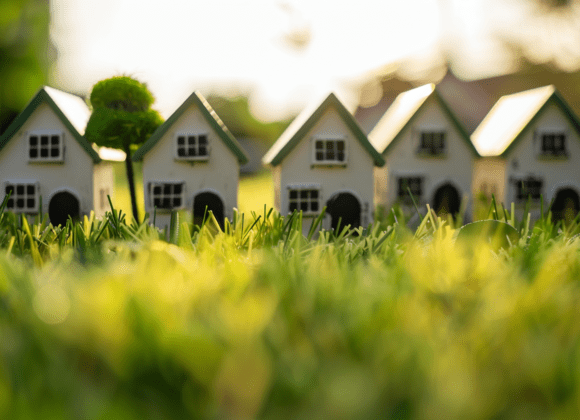 为什么你应该土地投资：深入分析